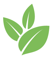 Buzz Ivy Removal Service