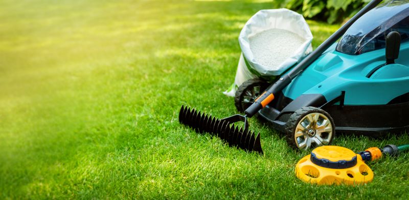Professional Lawn Maintenance Tools