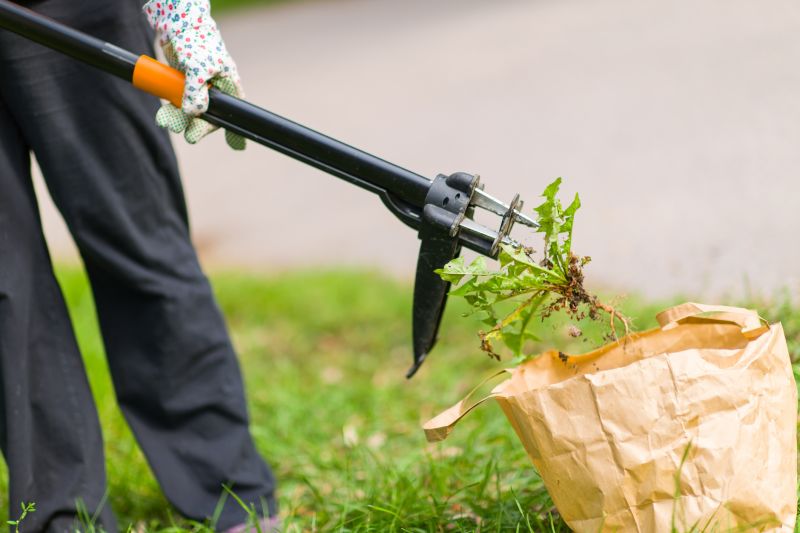 Ivy Removal Equipment